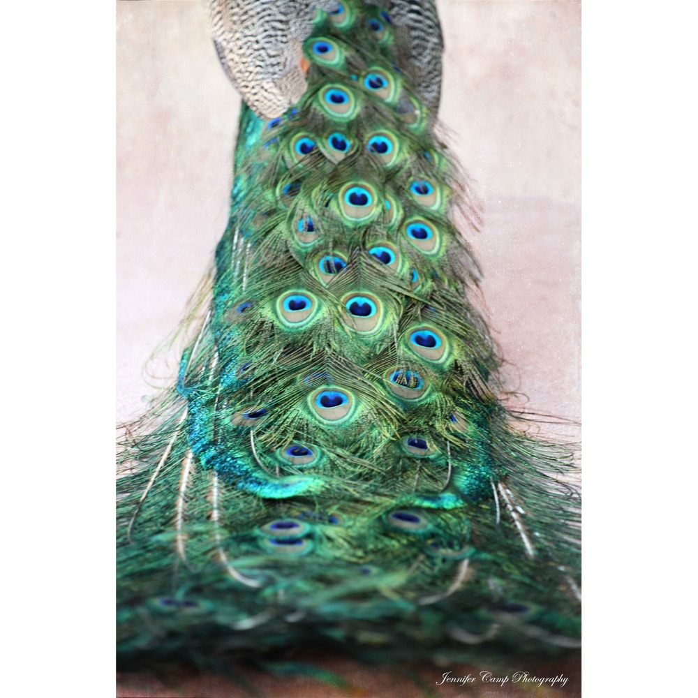Peacock Feather, Abstract‎ Fine Art Photography Print Size 5x7